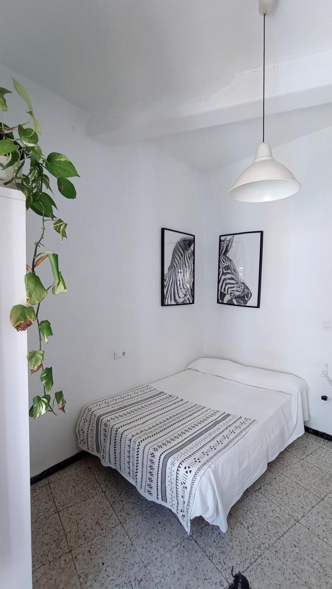 Preciosa Habitacion En Pleno Centro De Sevilla Ideal Para Hacer Turismo Y Vivir La Ciudad المظهر الخارجي الصورة